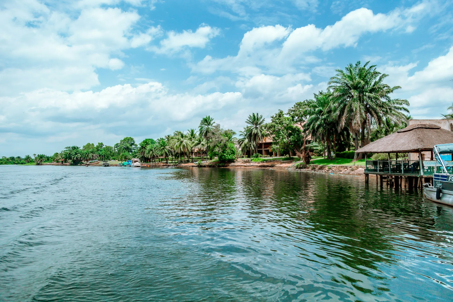 green trees beside body of water under blue sky during daytime, Ghana