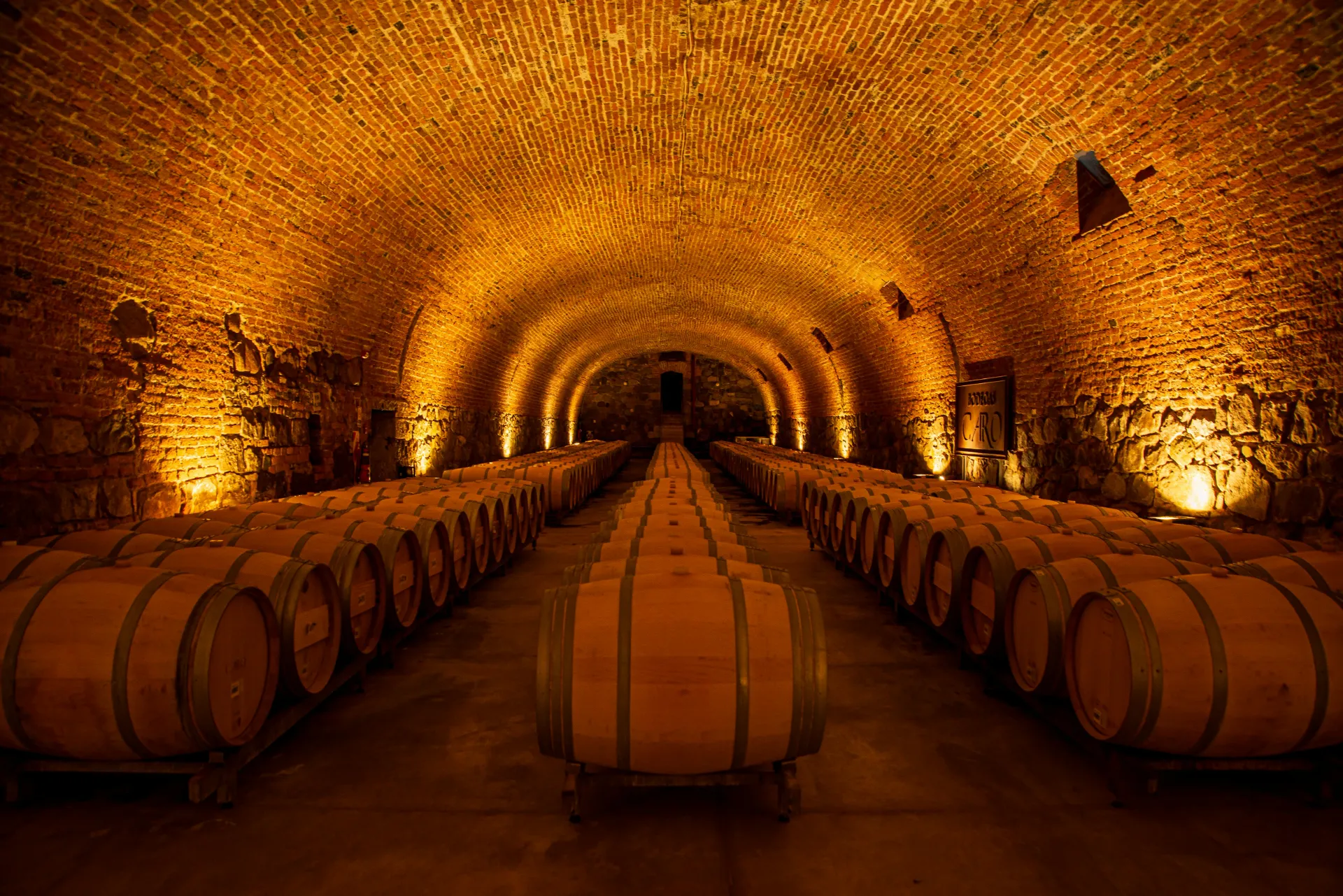 A cozy underground wine cellar in Buenos Aires, featuring rows of oak barrels under warm ambient lighting